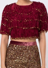 VELVET TOP & SEQUINED SKIRT