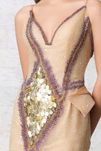 Embroidered Evenning Gown