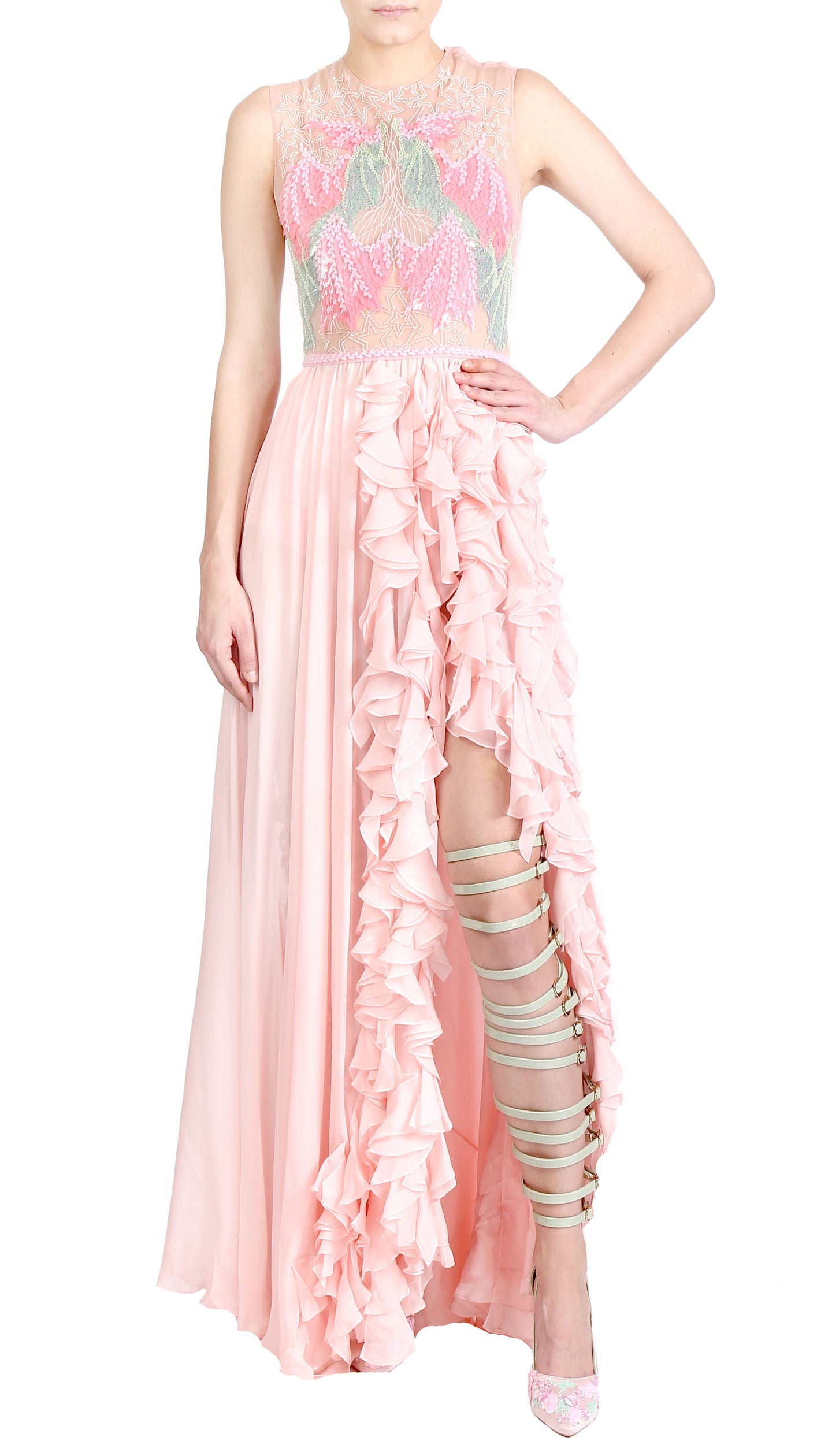 VEILED ROSE DRESS