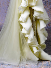 RUFFLED SHEER DRESS