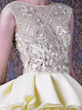 RUFFLED SHEER DRESS