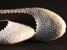 Ivory Glass Slippers