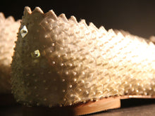 Ivory Glass Slippers