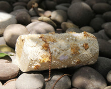 Ivory Narnia Clutch