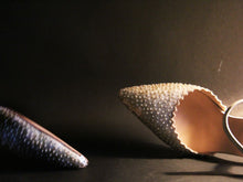 Ivory Glass Mule Stiletto
