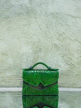 Exotic Ayers Snake Skin Green Handbag
