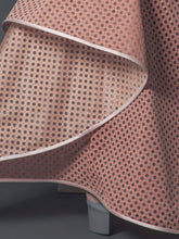 Embroidered Top & Engraved Ared Skirt