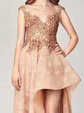 Embroidered Lace Dress
