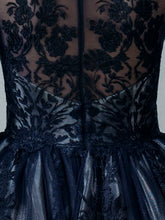 Embroidered Illusion Dress