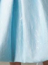 Pleated Skirt Dress
